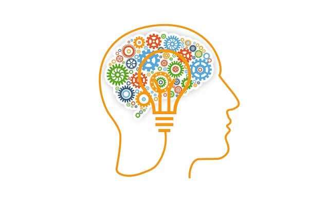 Brain Exercise: Psychometric Assessment