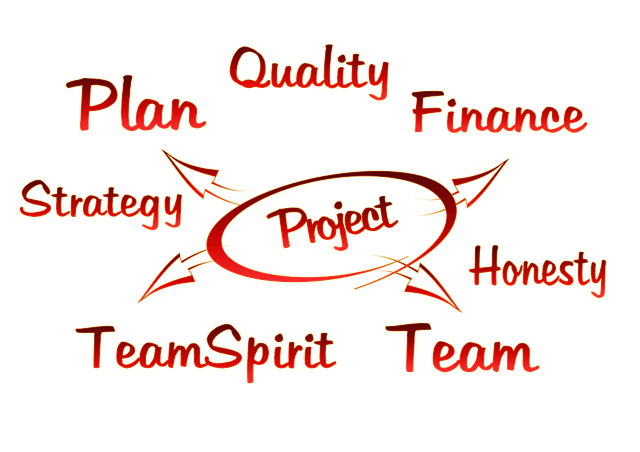 Project Management : Risk