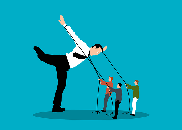 Policy Development and Strategic Planning  