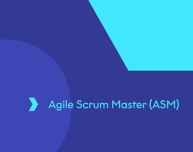 Agile Scrum Master (ASM)