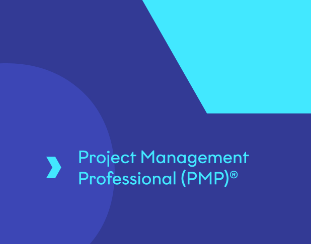 Project Management Professional (PMP)