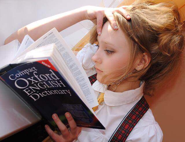 Using a Dictionary and Thesaurus